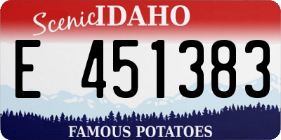 ID license plate E451383