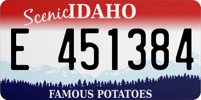 ID license plate E451384