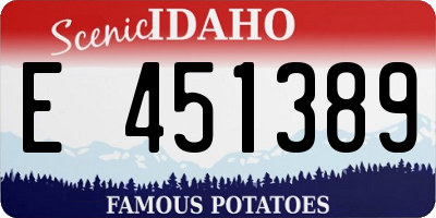 ID license plate E451389