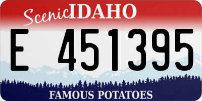 ID license plate E451395