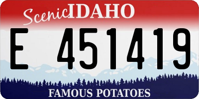 ID license plate E451419