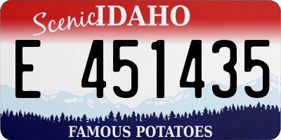 ID license plate E451435
