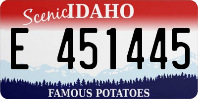 ID license plate E451445