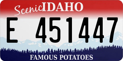 ID license plate E451447