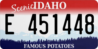 ID license plate E451448