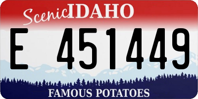 ID license plate E451449
