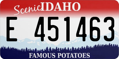 ID license plate E451463