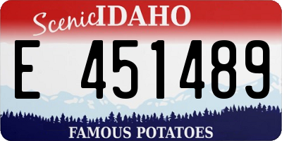 ID license plate E451489