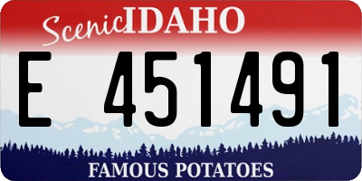 ID license plate E451491