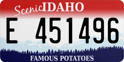 ID license plate E451496