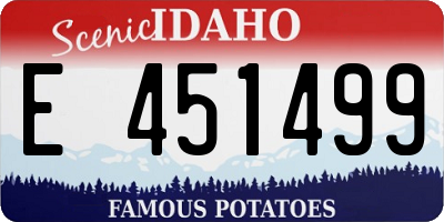 ID license plate E451499