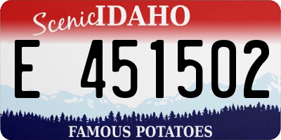 ID license plate E451502