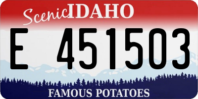 ID license plate E451503