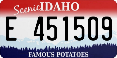 ID license plate E451509