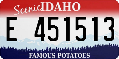 ID license plate E451513