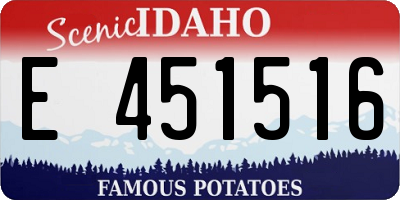 ID license plate E451516
