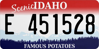 ID license plate E451528
