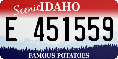 ID license plate E451559