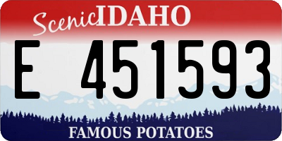 ID license plate E451593
