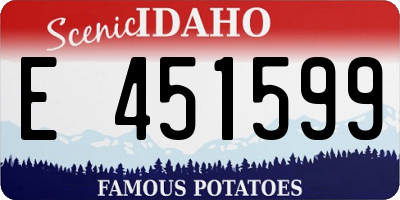 ID license plate E451599