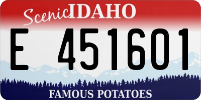 ID license plate E451601