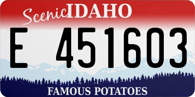 ID license plate E451603