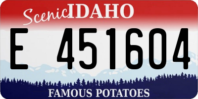 ID license plate E451604