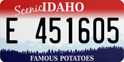 ID license plate E451605