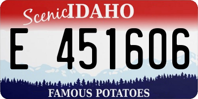 ID license plate E451606