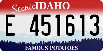 ID license plate E451613