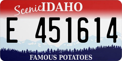 ID license plate E451614