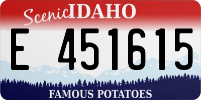 ID license plate E451615