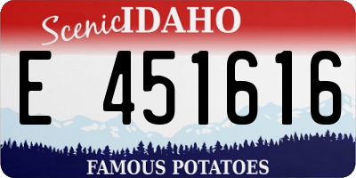 ID license plate E451616