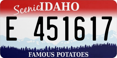 ID license plate E451617