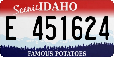 ID license plate E451624