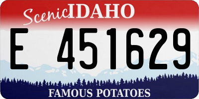 ID license plate E451629