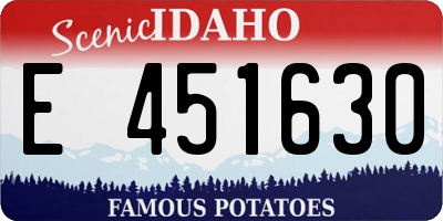 ID license plate E451630