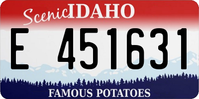 ID license plate E451631
