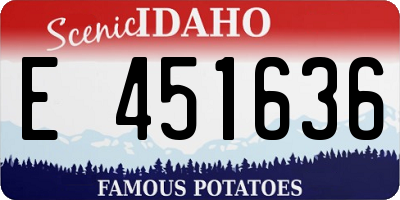 ID license plate E451636