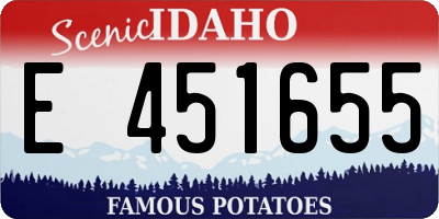 ID license plate E451655