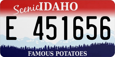 ID license plate E451656