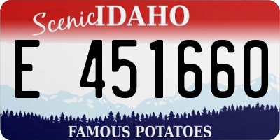 ID license plate E451660