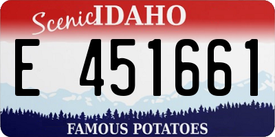 ID license plate E451661