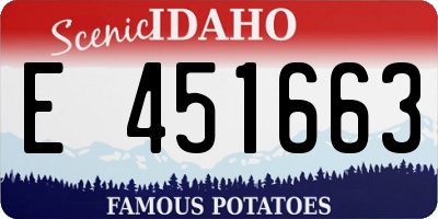 ID license plate E451663
