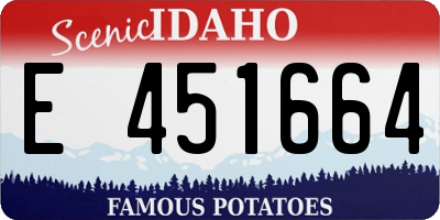 ID license plate E451664