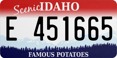 ID license plate E451665