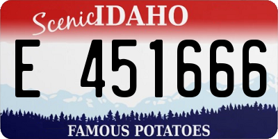 ID license plate E451666