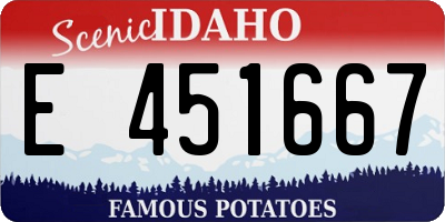 ID license plate E451667