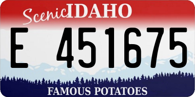 ID license plate E451675