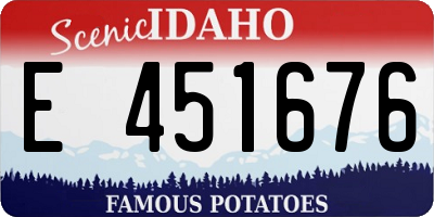 ID license plate E451676